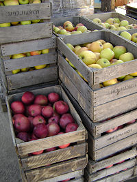 Apples in bushel crates from nearby Shelhamer's Orchard